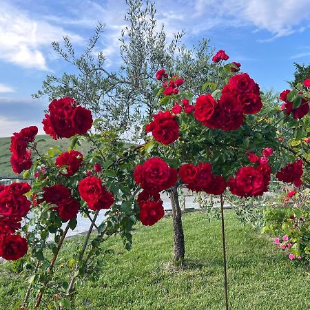Masso Alle Rose Di Santarsiero Serena مونتايون المظهر الخارجي الصورة