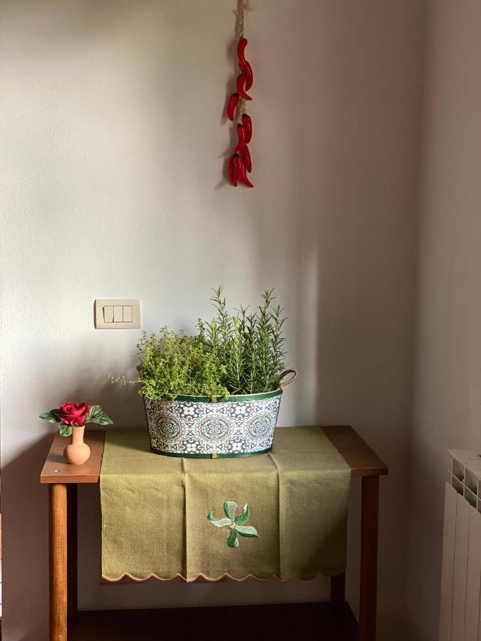 Masso Alle Rose Di Santarsiero Serena مونتايون المظهر الخارجي الصورة