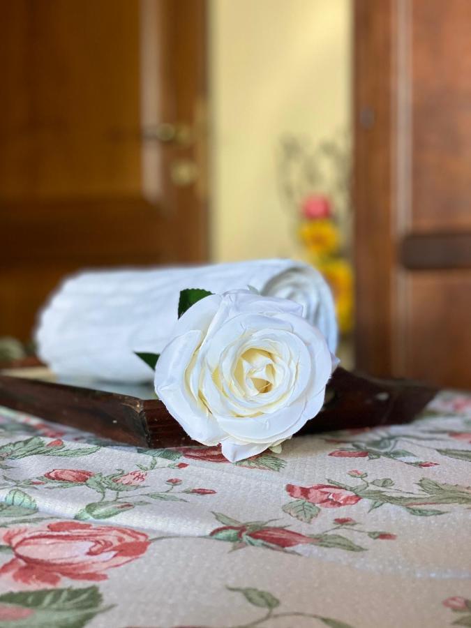 Masso Alle Rose Di Santarsiero Serena مونتايون المظهر الخارجي الصورة