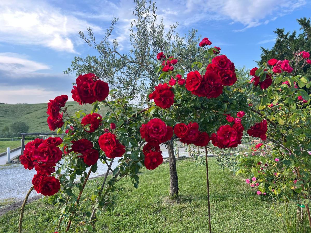 Masso Alle Rose Di Santarsiero Serena مونتايون المظهر الخارجي الصورة